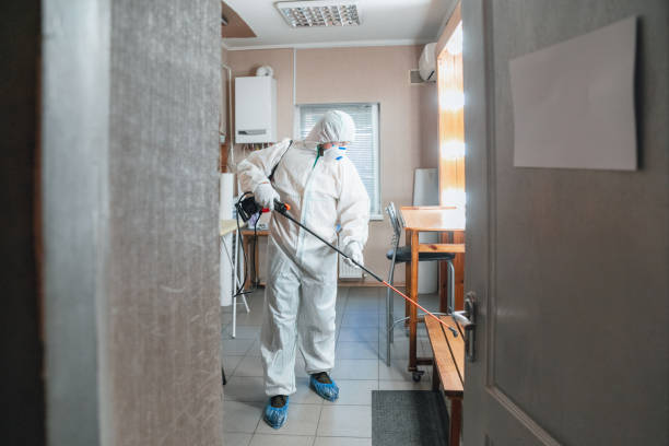 Best Water Damage & Mold Remediation  in Waawa, HI
