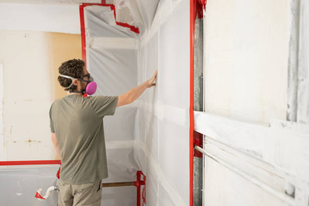 Best Mold Damage Restoration  in Waawa, HI