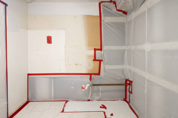 Best Basement Mold Removal  in Waawa, HI