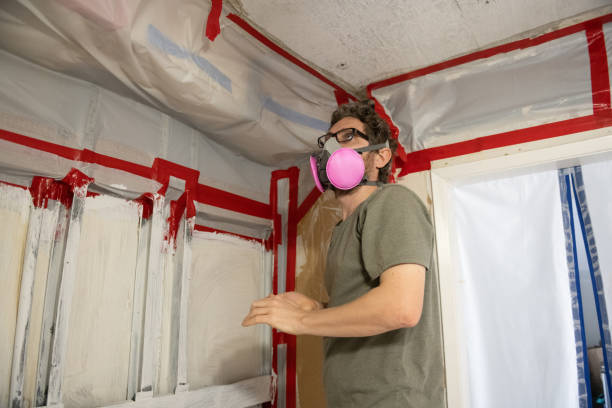 Best Commercial Mold Inspection  in Waawa, HI