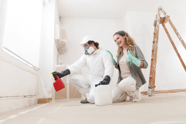 Waawa, HI Mold Removal Pros