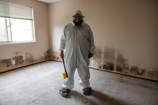 Best Mold Remediation for Healthcare Facilities  in Waawa, HI